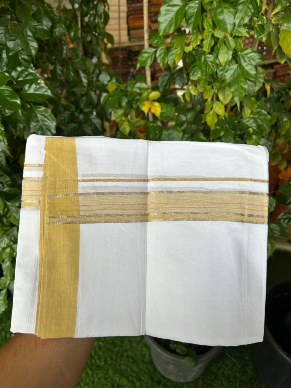 Short Dhoti Special - 28% Discount ! KaithariKada 100% Cotton Pure White Double Mundu / Dhoti - 100x80 - 45 inch Height 3.80 m Length 1.5 inch Mustard Yellow Silver Kasav kara - 5 KK5258 THI