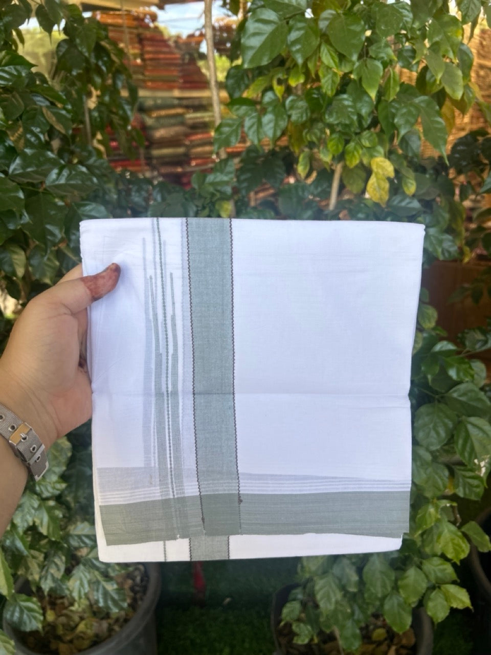 20% Discount! KaithariKada Balaramapuram 100% Cotton Double Pure white Mundu/Dhoti- 60s - 1.25 inch Brown striped Greyish green shaded chutty kara - 3.90mtr ( 8 muzham) - 31 KK5279 CKS