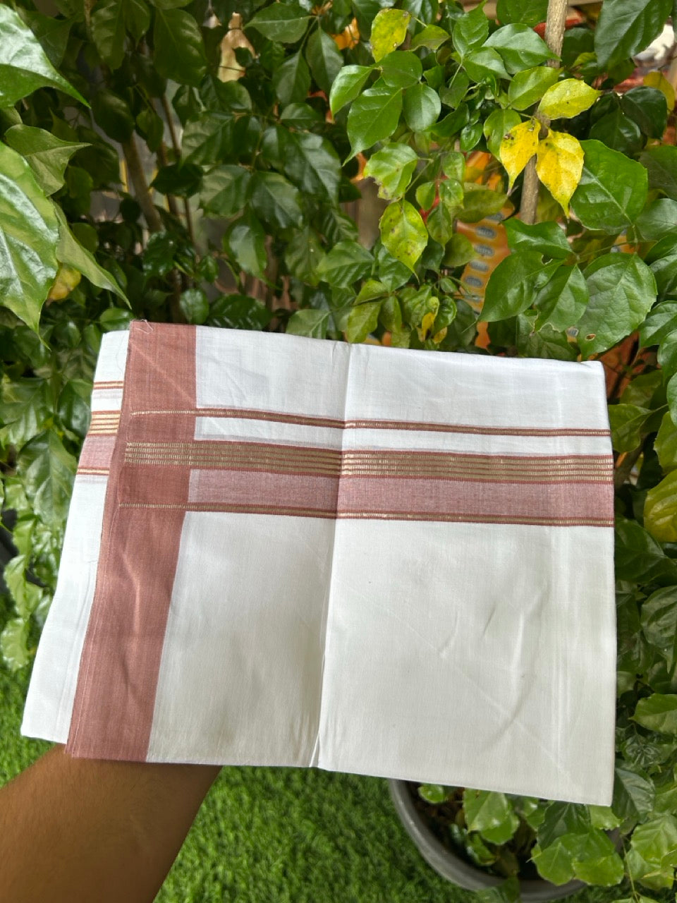 Short Dhoti Special - 28% Discount ! KaithariKada 100% Cotton Pure White Double Mundu / Dhoti - 100x80 - 45 inch Height 3.80 m Length  1.5 inch Brown Silver Kasav kara - 8 KK5258 THI
