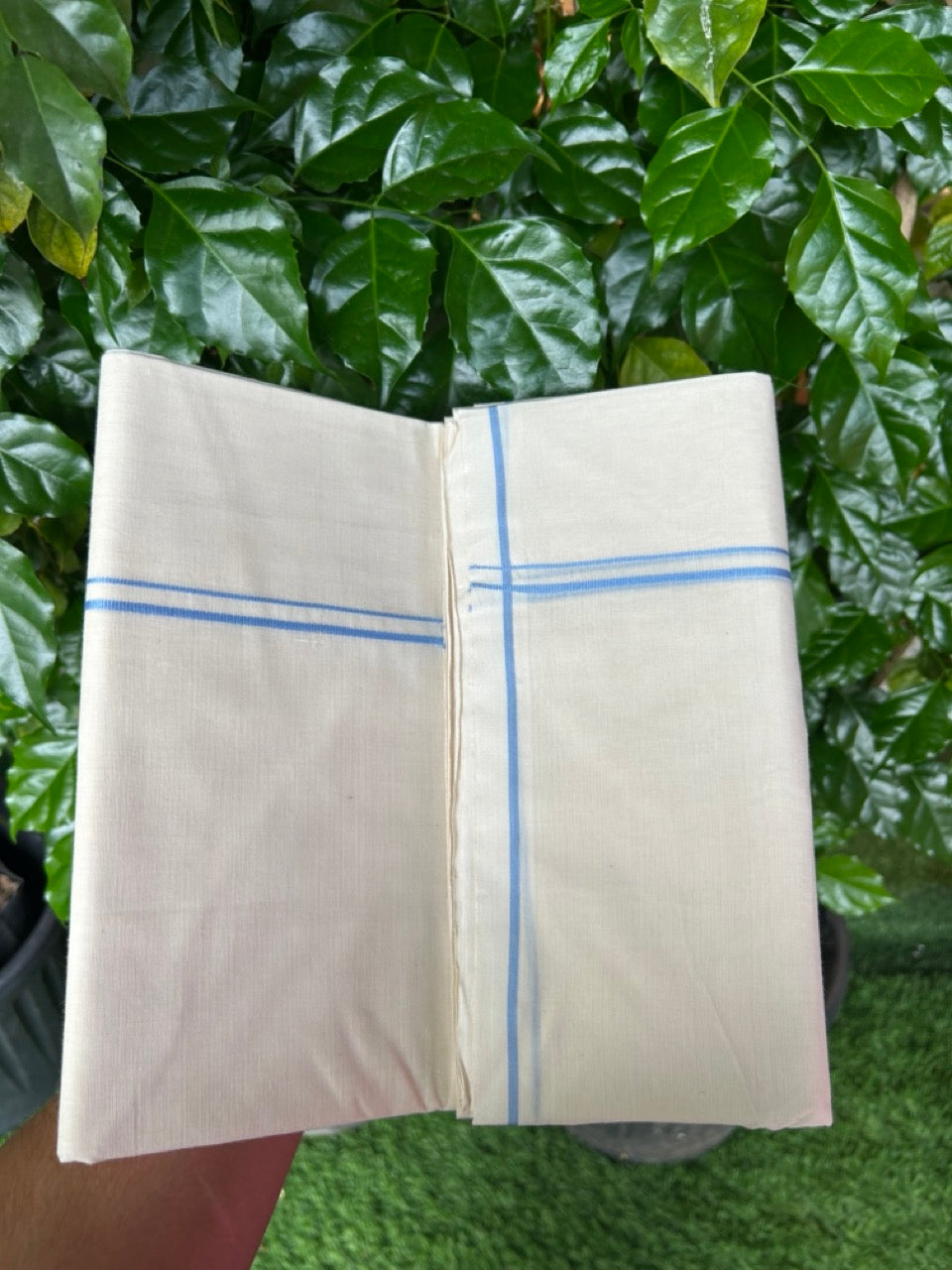 20% DISCOUNT! KaithariKada Balaramapuram 100% Cotton Double Off white - (Unbleached) - Mundu/Dhoti-100x100 - 0.3 cm  Light Blue Thin Kara - 13KK5228 ASH