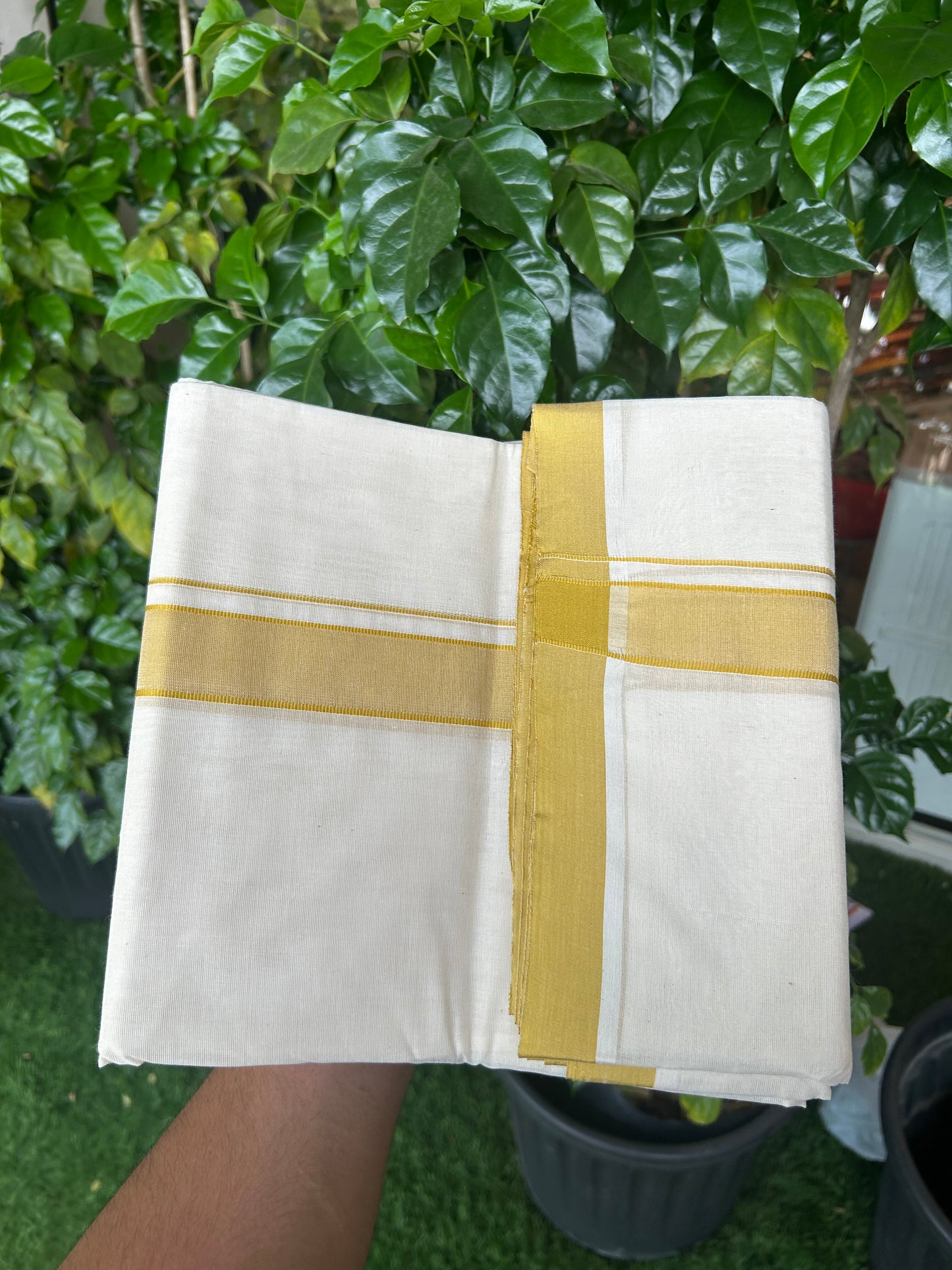 20% Discount KaithariKada Balaramapuram 100% Cotton Double Off white - (Unbleached) - Mundu/Dhoti - 100x80 - 1.25 inch Mustard Yellow Kara - 4 mtr (8.5 Muzham) - 6 KK5346 ASH