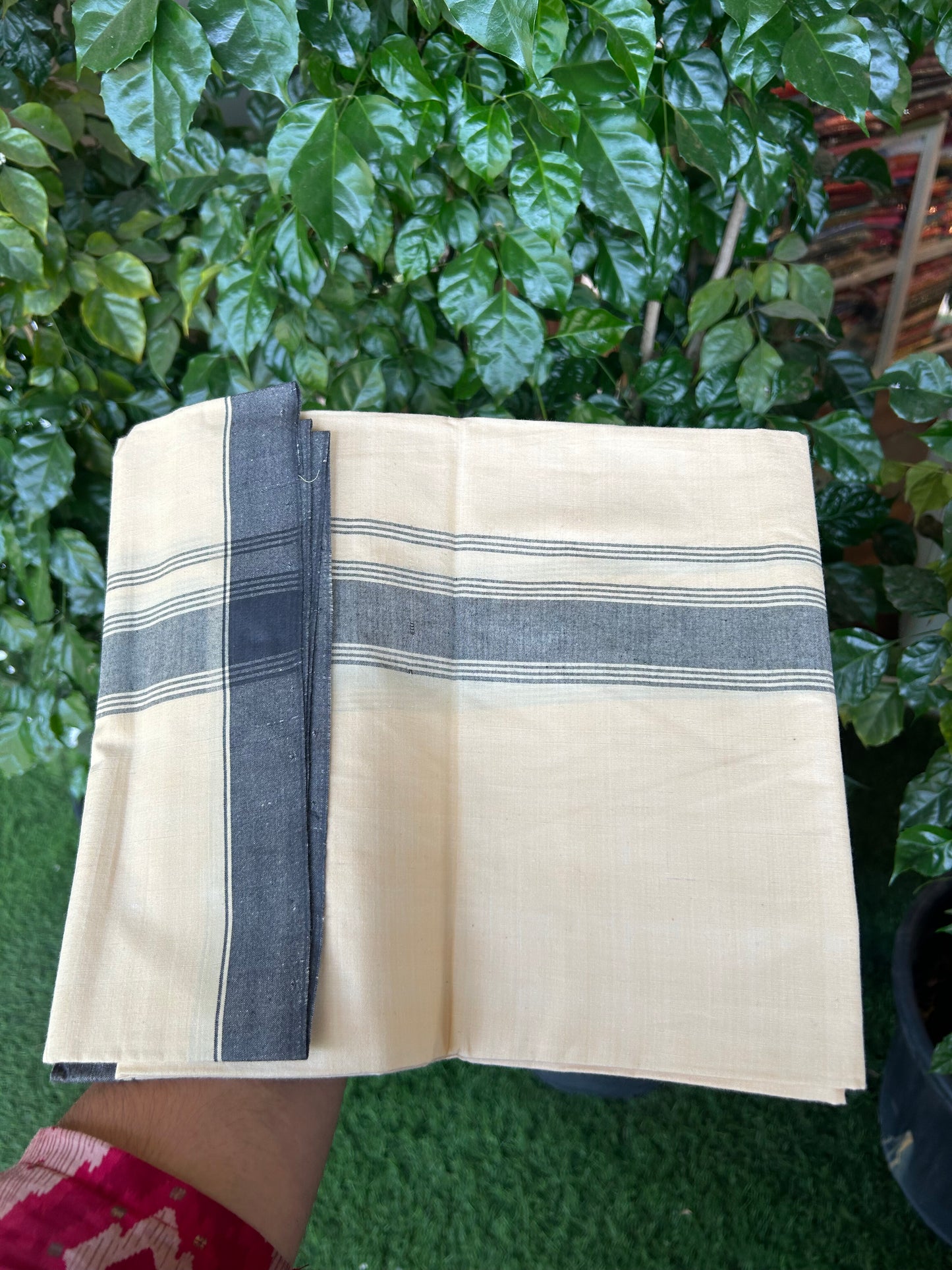 Kannur Kavi Dhoti - Kerala Handloom - Signature Kaitharikada - 16% Discount! - 100% Pure Cotton - (80X80) Twisted Thread Handloom Single Mundu/Dhoti - 80X80 - Kannur Light Yellow Colour Body & Black stripes 1.75 inch Kara- 5 KK8052 KAI