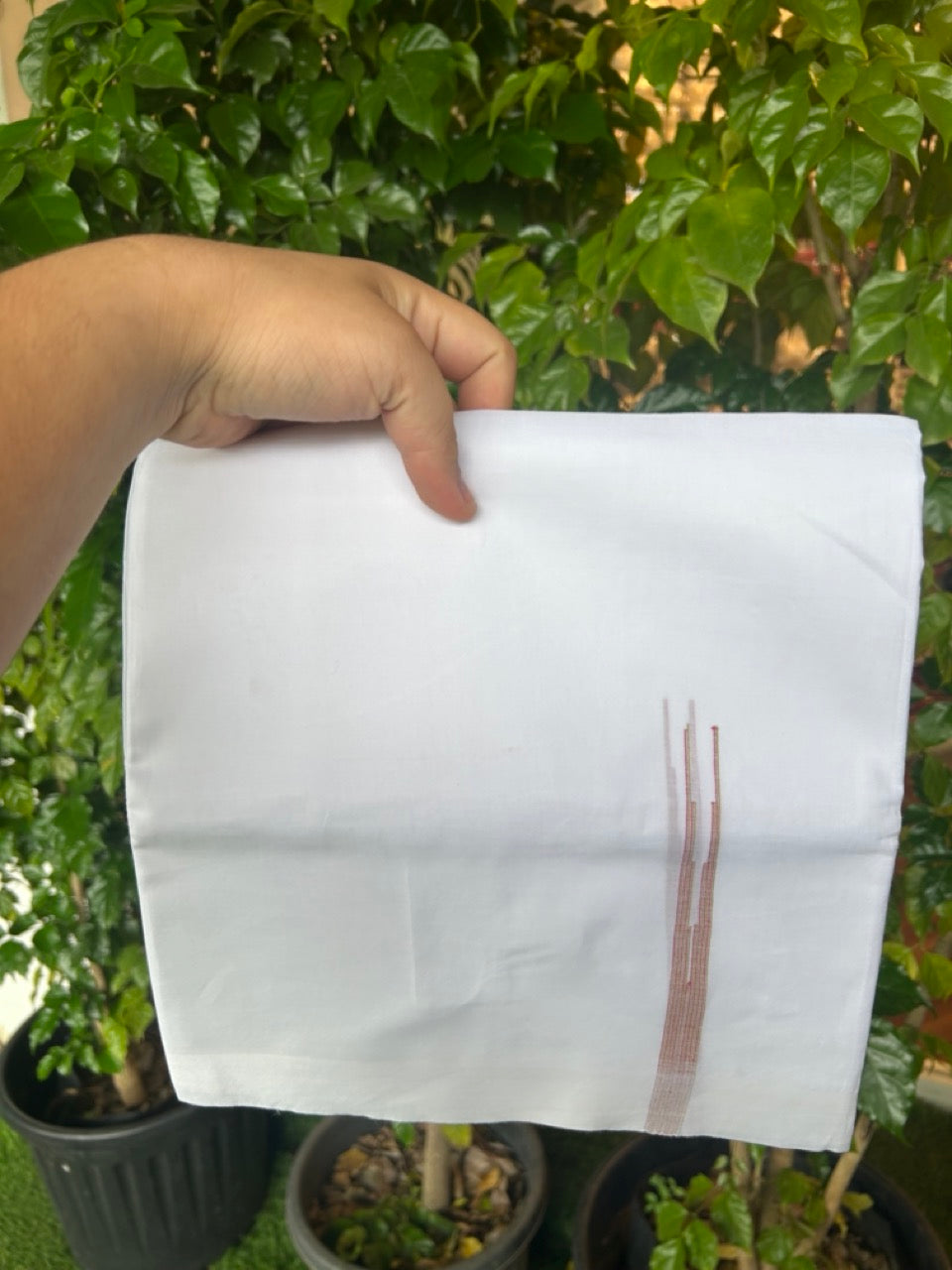 20% Discount!! New!! KaithariKada Balaramapuram 100% Cotton Pure White Double Mundu/Dhoti - (100x80)s - 0.5 inch Yellow Green & Magenta Shaded Puliyilakkara chutty - 20KK5210CKS