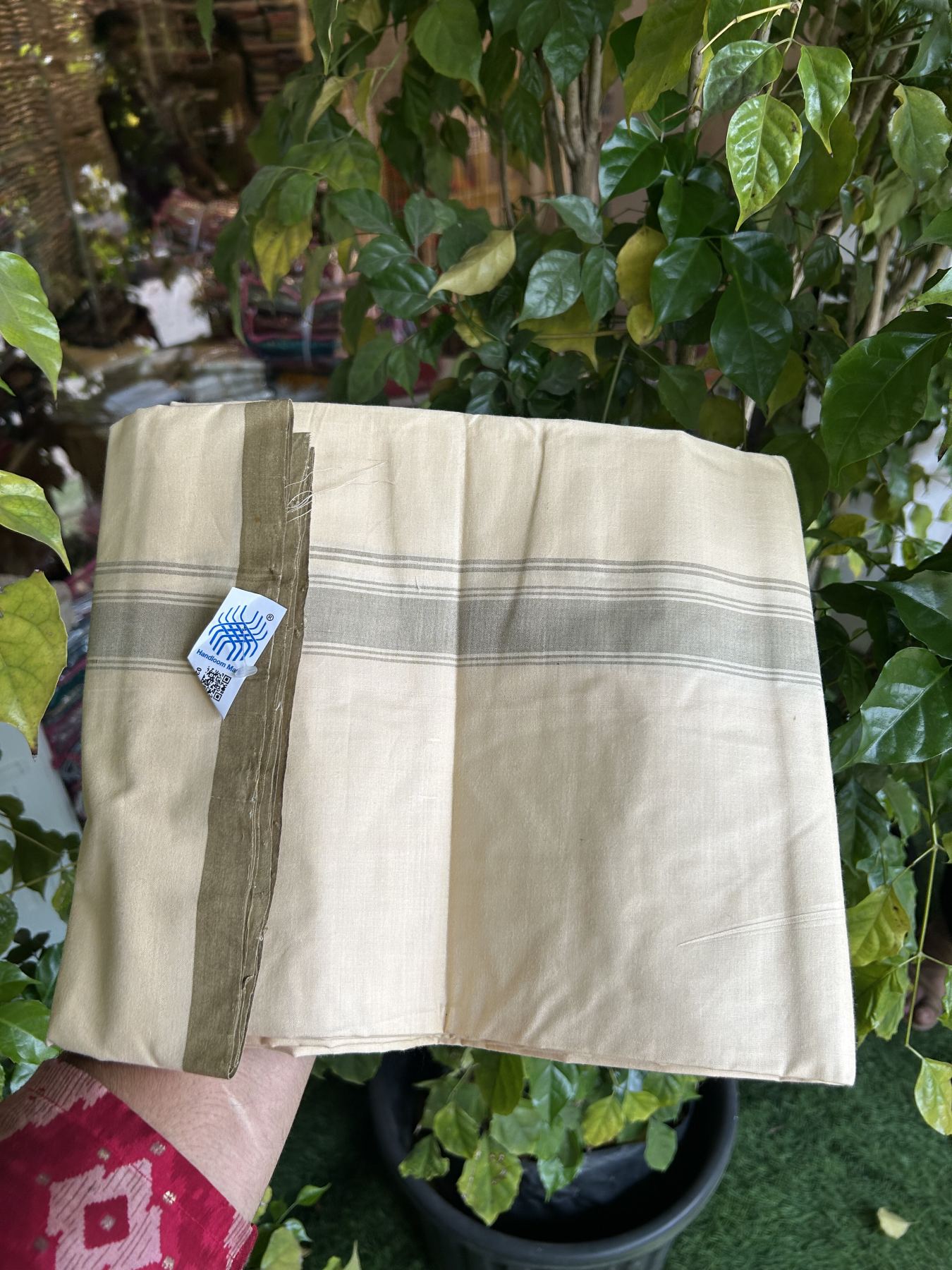Kannur Kavi Dhoti - KaithariKada Balaramapuram Handloom Single Mundu/Dhoti - 100% Pure Cotton 2/80x2/80s Thread - Kannur Light Yellow colour Body 1.25 inch Greyish Olive Green Striped Kara - 43 KK8046 KAL