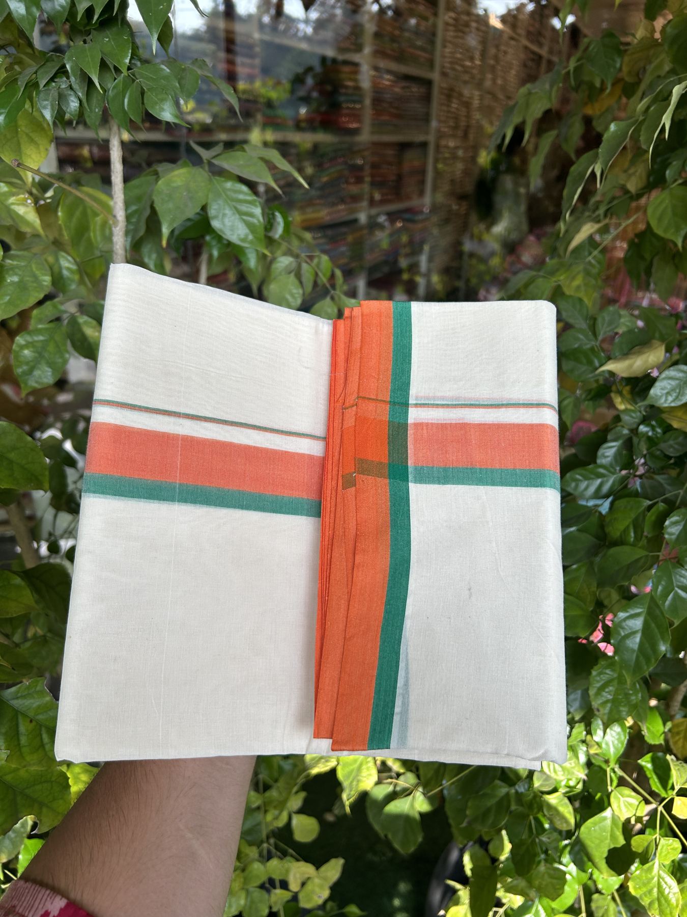 Bjp Veshti - 20% Discount! KaithariKada 100% Cotton Off White Double - (Unbleached) Mundu/Dhoti - 100X100 - 1.5 inch Orange & Green Shaded Kara 3.80 m (8 muzham)- 5 KK5330 ASH