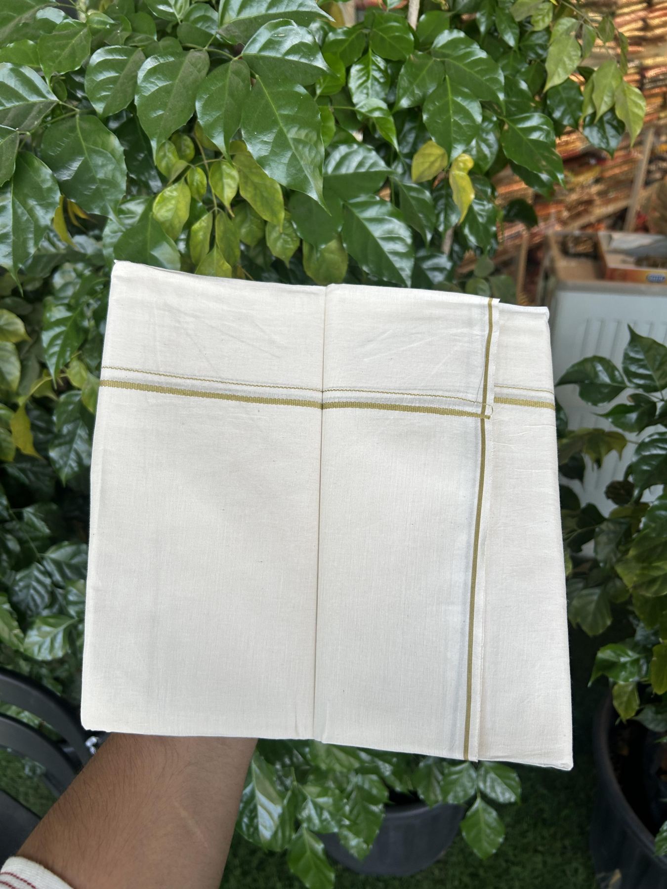 20% Discount! KaithariKada Balaramapuram 100% Cotton Double Off white - (Unbleached) - Mundu/Dhoti - 100x80 - 0.3 cm Mustard Thin Kara 4 mtr (8.5 muzham) - 23 KK5357 VAS