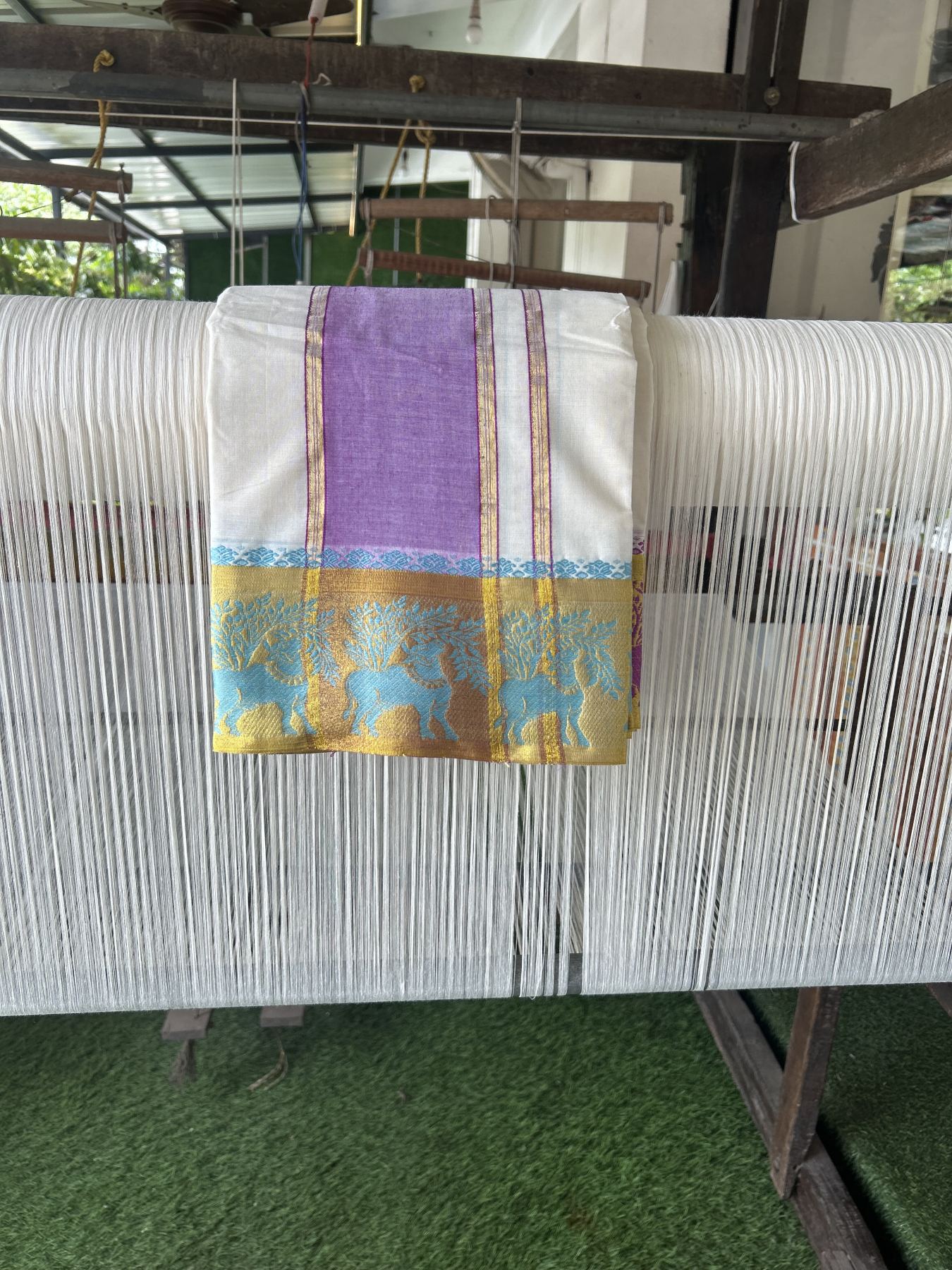 Panchakacham Dhoti - 20% Discount! Kaitharikada Balaramapuram Cotton Mix - Off White - (Unbleached) 80X90 thread - North Iindian- Attached Gamcha - 9x5 Dhoti - 4 inch Gold kasav & Light Violet Striped kara - 51 KK8305 PMC