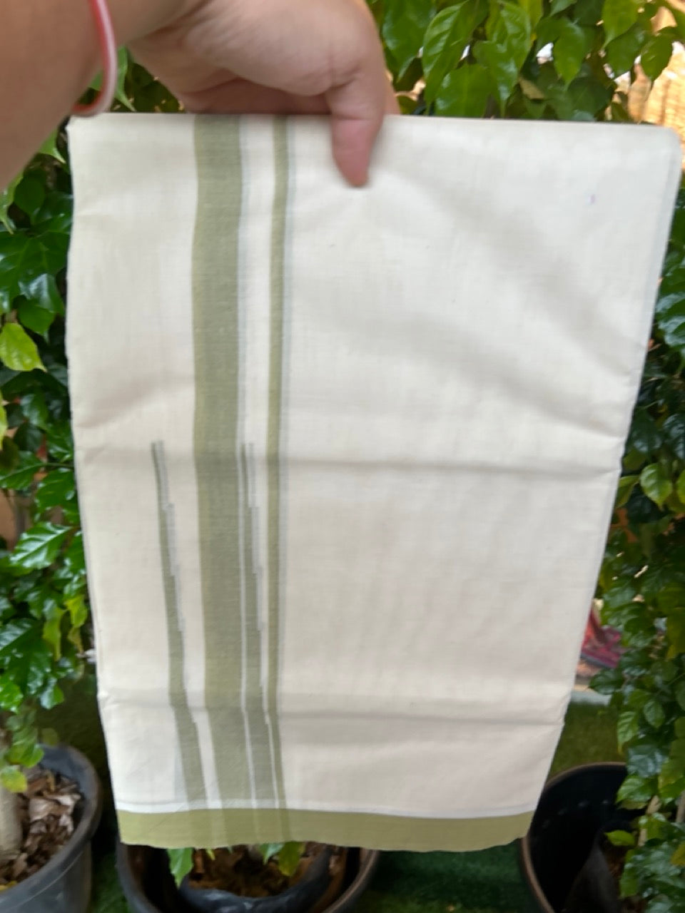 20% DISCOUNT! KaithariKada Balaramapuram 100% Cotton OFF WHITE Double (Unbleached) Mundu/Dhoti-100x80 - 1.75 inch Puliyilakkara Light Sage Green shaded Big Chutty kara 4 mtr (8.5 muzham) - 135KK5220 THI