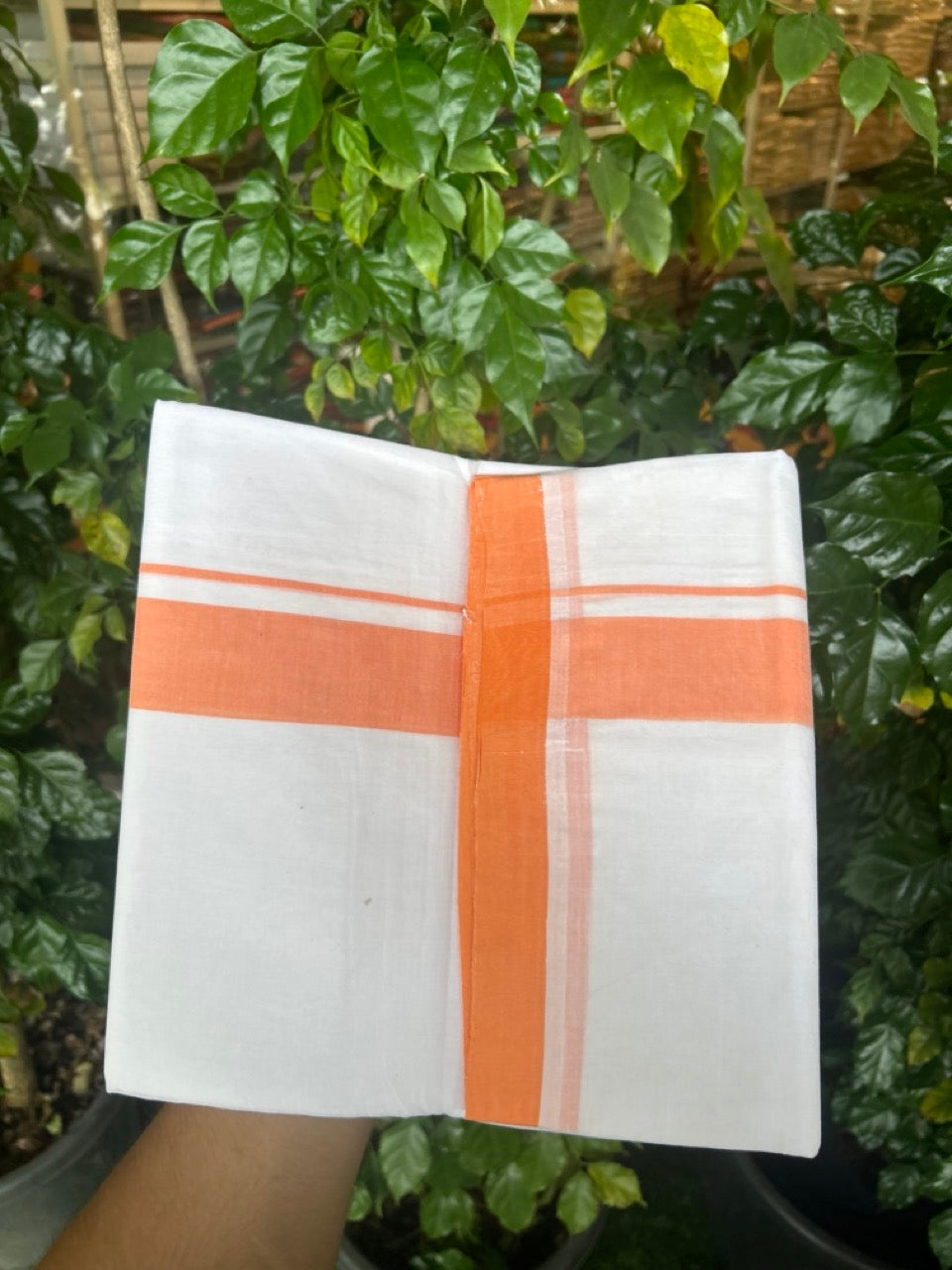 KaithariKada Handloom Millpaav Balaramapuram - 100% Pure Cotton Double Mundu/Dhoti Pure white - 80x90 - 1.5 inch Orange Mulloth Kara 4 mtr (8.5 Muzham) - 5 KK5263 YAR