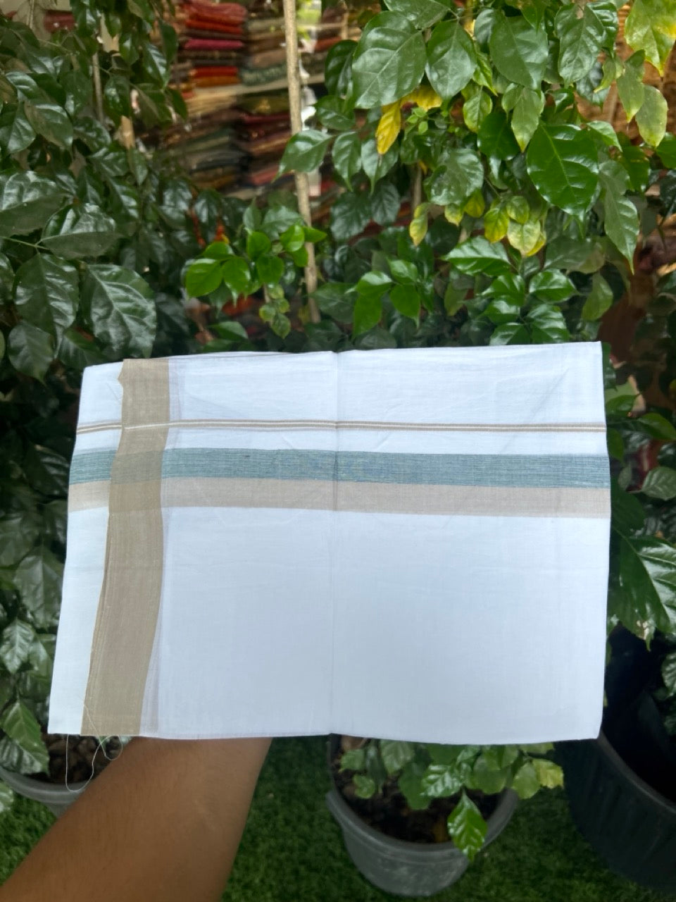20% Discount ! Kaitharikada Balaramapuram 100% Cotton Pure White Double Mundu/Dothi - 60s - 1.5 inch Green & Beige Shaded Kara 3.80 mtr (8 muzham) - 53 KK5299 THI