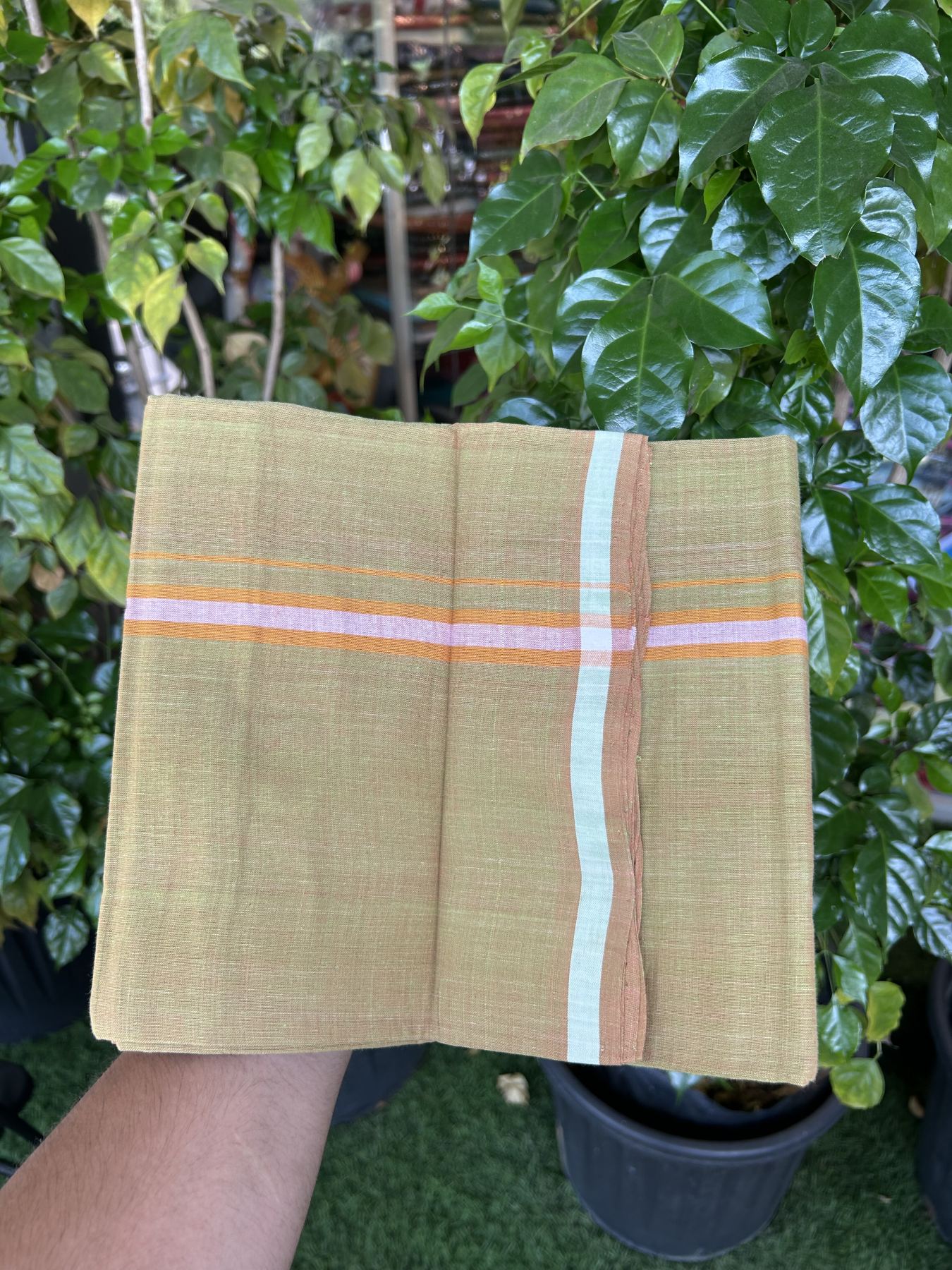 Kerala Handloom Single Hallmarked - 10% Discount !! KaithariKada 100% Pure Cotton - Mundu/Dhoti Brownish Green Body - 1.25 inch Orange & White Stripes Kara - (2 meter / 4 muzham) - 35 KK8048 ELA